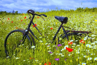 Top Bicycle Wallpapers Desktop Images For Pinterest