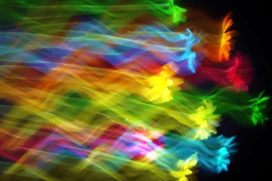 A Flower Of A Different Color   Bright Colors Wallpapers (21810570 ...