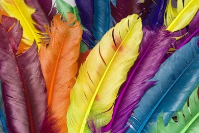 Rainbow   Bright Colors Wallpapers (18591253)   Fanpop