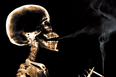 Ipad ipad2 wallpaper 2352