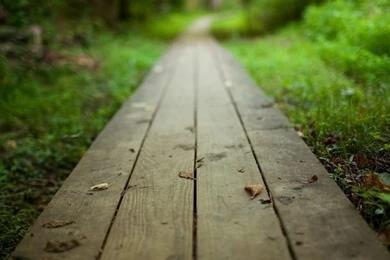 Fresh And Unique iPad Wallpapers