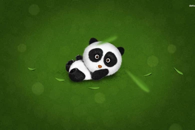 Download Panda Wallpapers 1e29