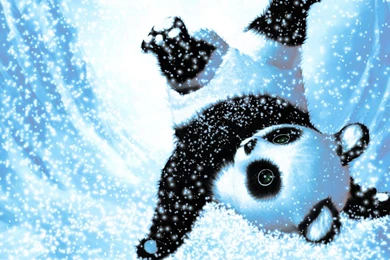 Panda Desktop Backgrounds HD 12503   HD Wallpapers Site