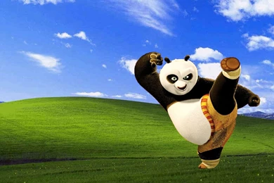 Baby Kung Fu Panda Wallpapers Hd 13 Backgrounds   Hivewallpaper.com