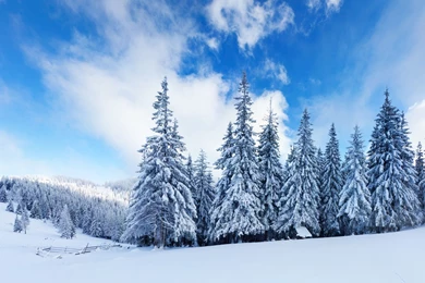 Winter Mountain Wallpapers