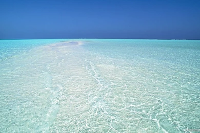 Clear Ocean Water Desktop Backgrounds Free Wallpapers