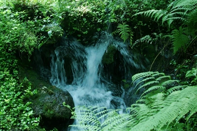 Waterfall Desktop Background, Waterfalls And Water Cascade