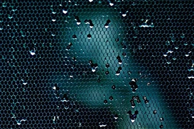 Z Wallpapers Full Hd 1080 X 1920 Smartphone Amazing Red Rose   1080 ...