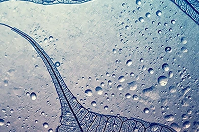 Sea Sunrise Samsung Galaxy S4 S5 Wallpapers HD 1080x1920