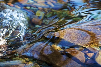 Colourful Rocks In A Stream Water Desktop Wallpapers   1680x1050 Pixels