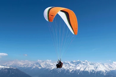 Wallpapers Galeries: Sports Wallpapers For Free