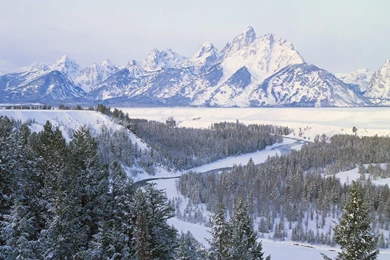 2560x1920 Winter Mountain Forest Wyoming Desktop PC And Mac Wallpapers