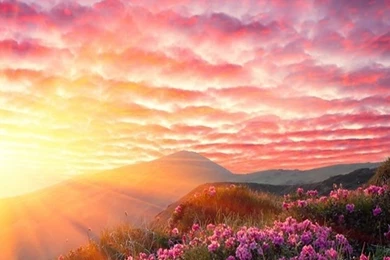 Samsung galaxy note 3 wallpaper hd album 2 31.jpg