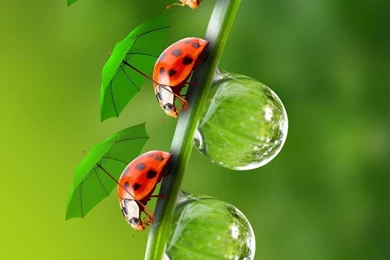 Download Samsung 1080x1920 HD Wallpapers For Mobile Phones / Desktop