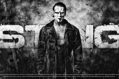 Wwe_wallpaper_sting_by_phenomenon_des d89gd7n AMB.jpg
