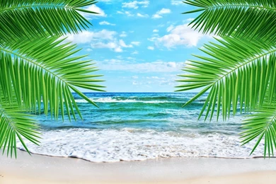 Amazing Summer Wallpapers