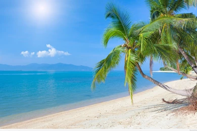 Wallpapers Amazing Summer