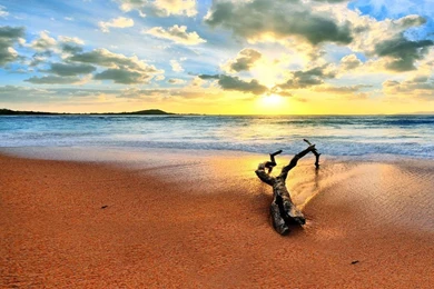 Summer Beach Wallpapers   Crazy Frankenstein