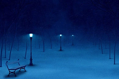 Winter Night Wallpapers