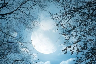 Full Moon Night HD Desktop Wallpapers : Mobile : Dual Monitor