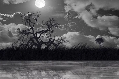 Beauty Of Moonlight At Night Sky Near Sea Poetic Nature Images ...