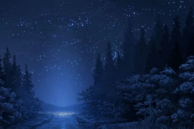 WINTER NIGHT WALLPAPERS WAF1001