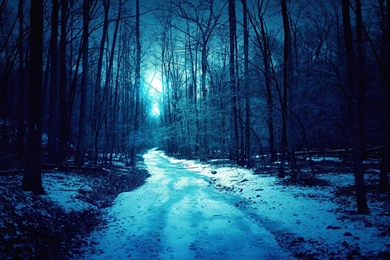 Wallpapers Of Winter Night Wallpapers