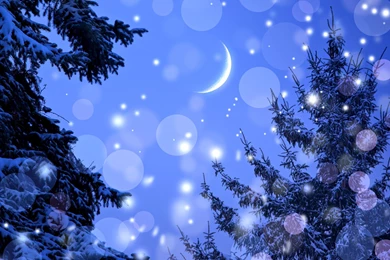 Winter Night >> HD Wallpaper, Get It Now!