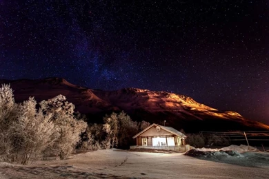 Purple Winter Night Wallpapers