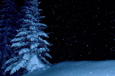 Winter Night Wallpapers   (