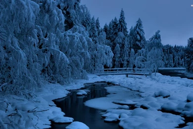 River On A Winter Night Wallpapers