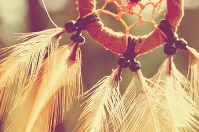 Dreamcatcher Feathers Closeup iPhone 6 Wallpapers Download