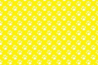 Paw Print Backgrounds Wallpapers Free Stock Photo   Public Domain ...