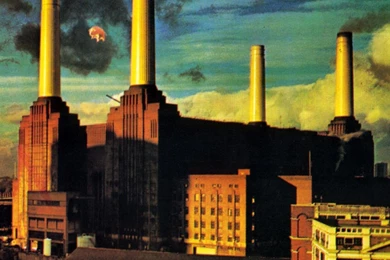 49 Pink Floyd HD Wallpapers Wallpapers   (