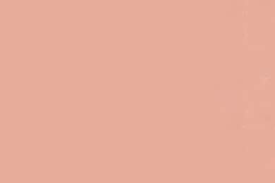 The iPhone 5 Wallpapers I Just Pinned! Cute Kitty Backgrounds