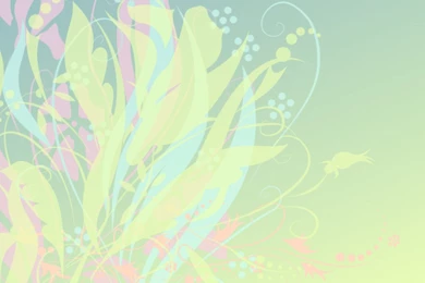 Floral Desktop Backgrounds