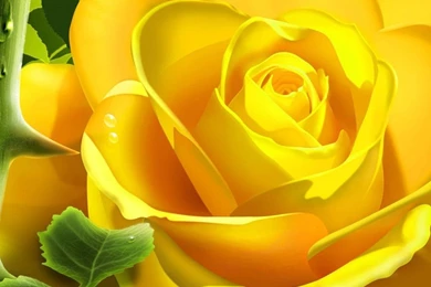 Desktop Background Flowers Wallpapers 5.jpg