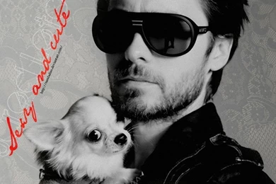 Jared Leto Wallpapers 2 By Nandadias On DeviantArt