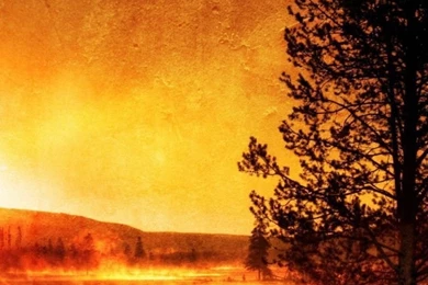 HD Coast Tree River Line Color Evening Backgrounds Download For ...