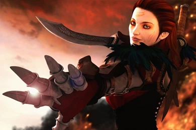 Hawke Computer Wallpapers, Desktop Backgrounds