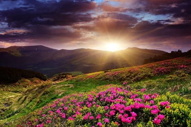Sunrise HD Wallpaper, Sunrise Images Free Download, New Wallpapers