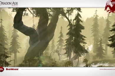Dragon Age: Origins Wallpapers