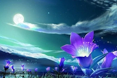 Nature 3D Wallpaper Hd For Desktop Free Download 5 600x500.jpg