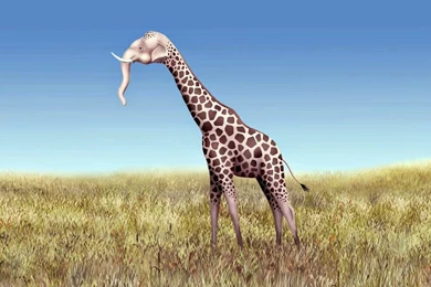 Funny Desktop Wallpapers In HD   HD Wallpapers   High Quality ...