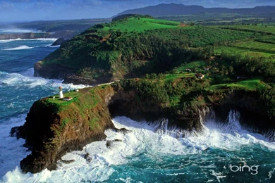 Nature desktop wallpaper widescreen.jpg