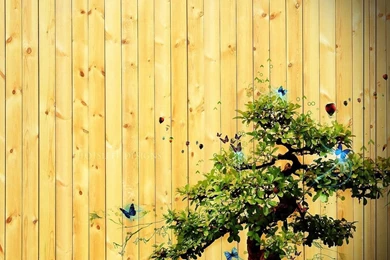 Free Wallpapers   Free Art Wallpapers   3D Desktop Wallpapers 2 ...