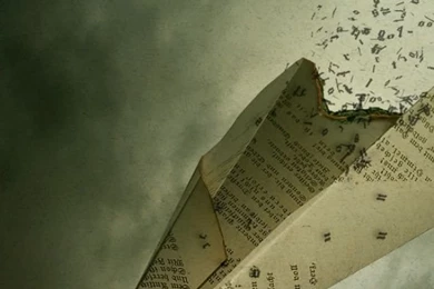 Paper Plain iPhone 5 Wallpapers