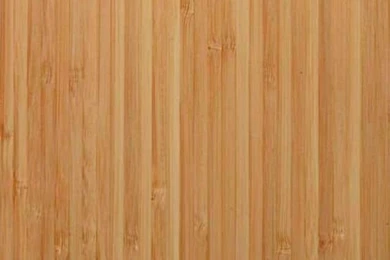 An iPhone 4 Case For Than Simple Professional Look