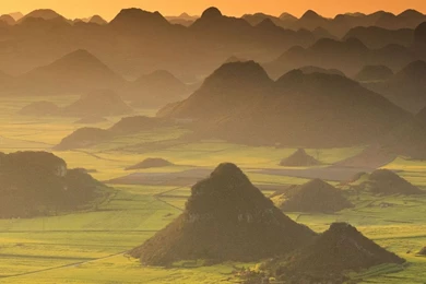 Plain iPhone Wallpapers