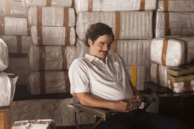 Narcos Wallpaper, Movies: Narcos, Serial, Wagner Moura, Pablo ...